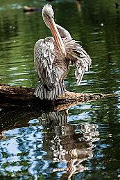 多人生存名作《腐蚀》8月更新Harder Core上线 更加高难度